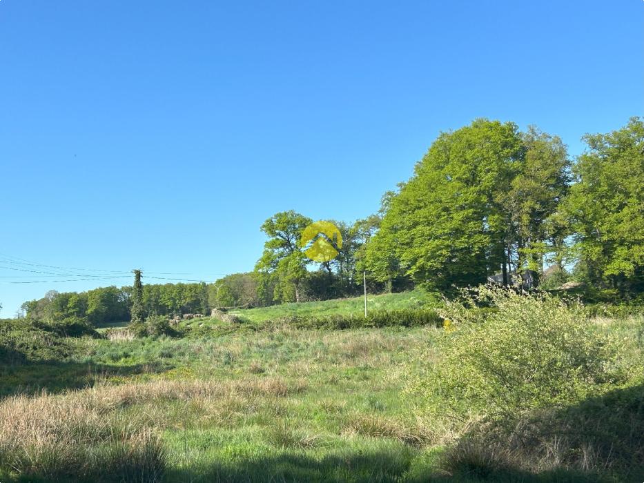 TERRAIN CONSTR 3,3HA ET 2 ETANGS