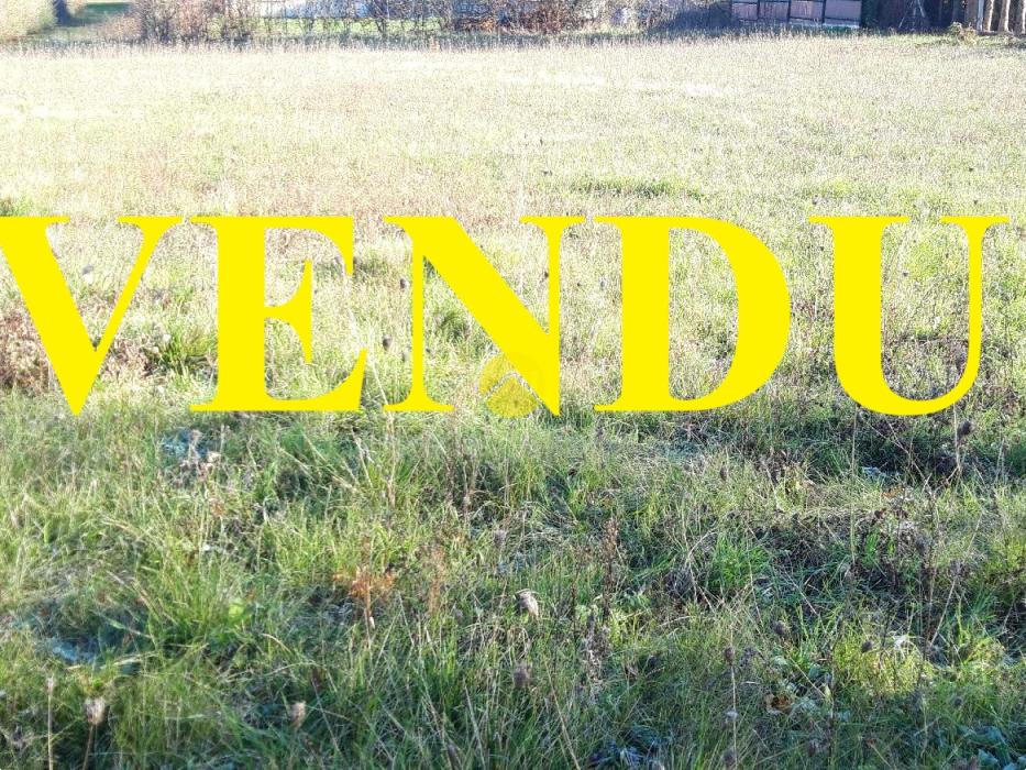 TERRAIN CONSTRUCTIBLE 1560 M2