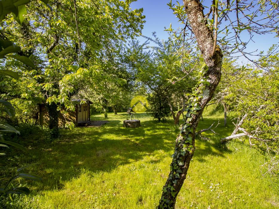 Prête à vivre avec jardin !