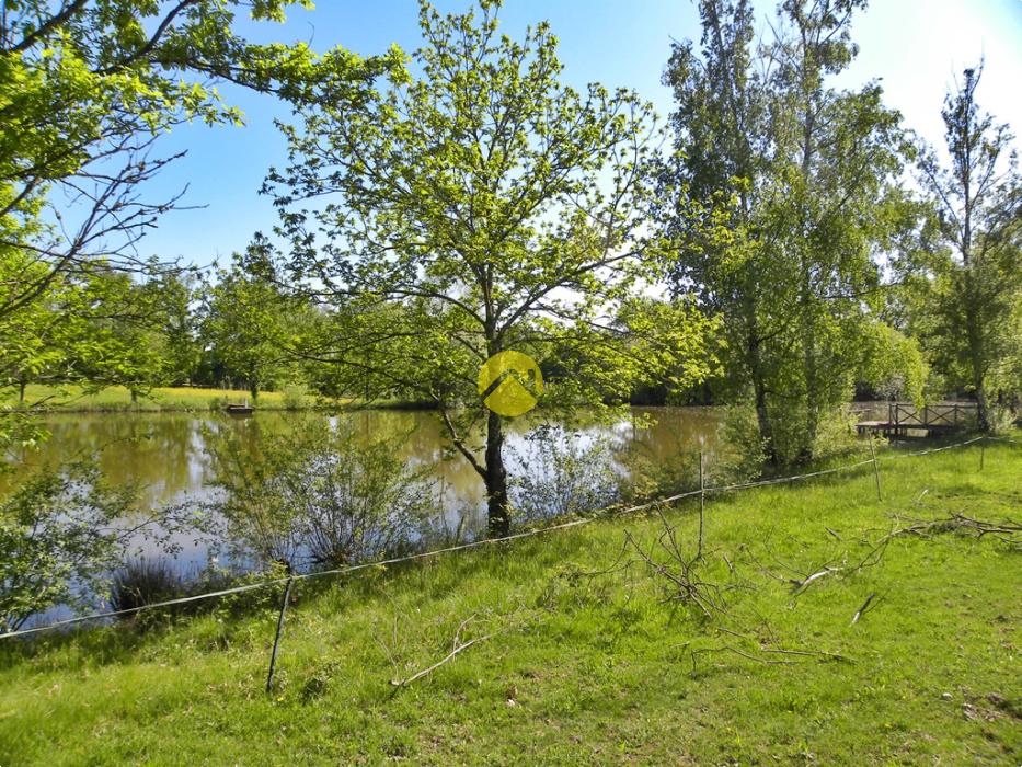 EN PLEINE NATURE