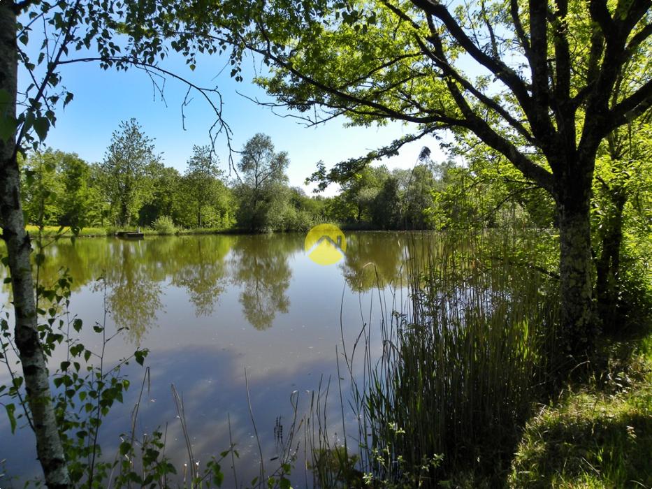 EN PLEINE NATURE