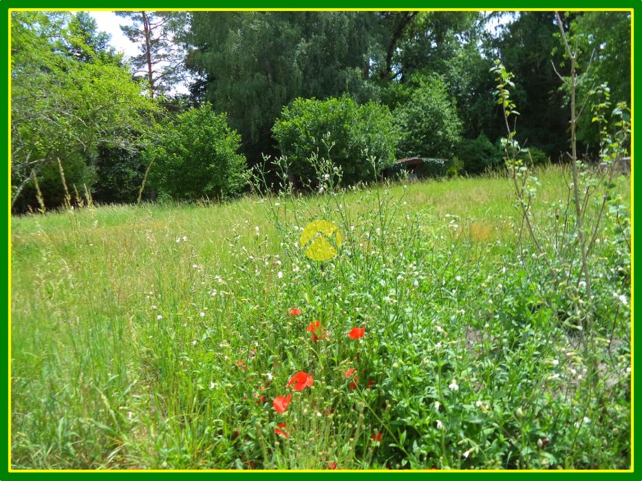 TERRAIN PLEIN DE CHARME
