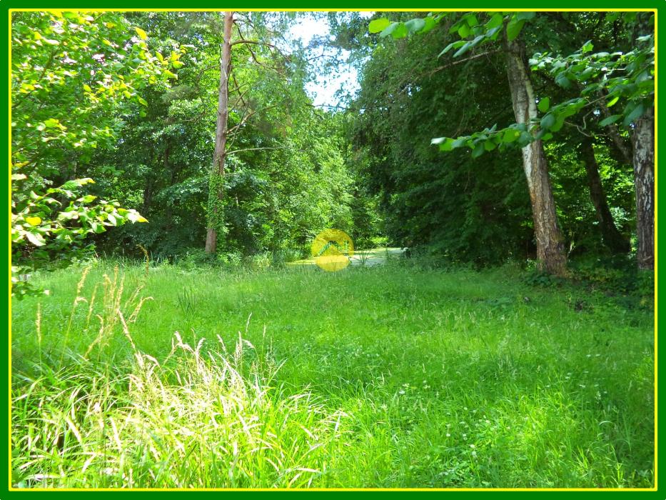 TERRAIN PLEIN DE CHARME