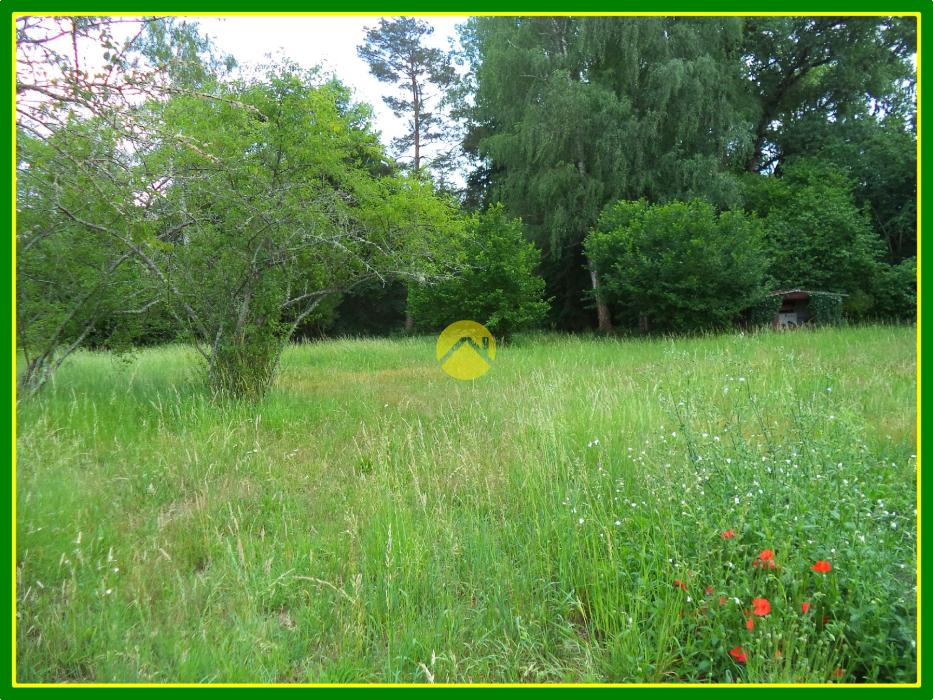 TERRAIN PLEIN DE CHARME