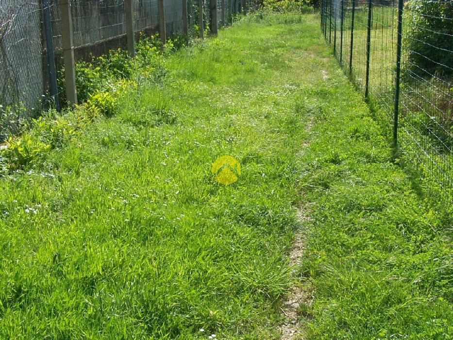 AU BOUT DU CHEMIN LA TRANQUILITE