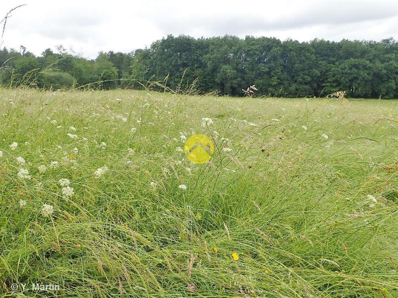 PARCELLES AGRICOLES ET BOIS