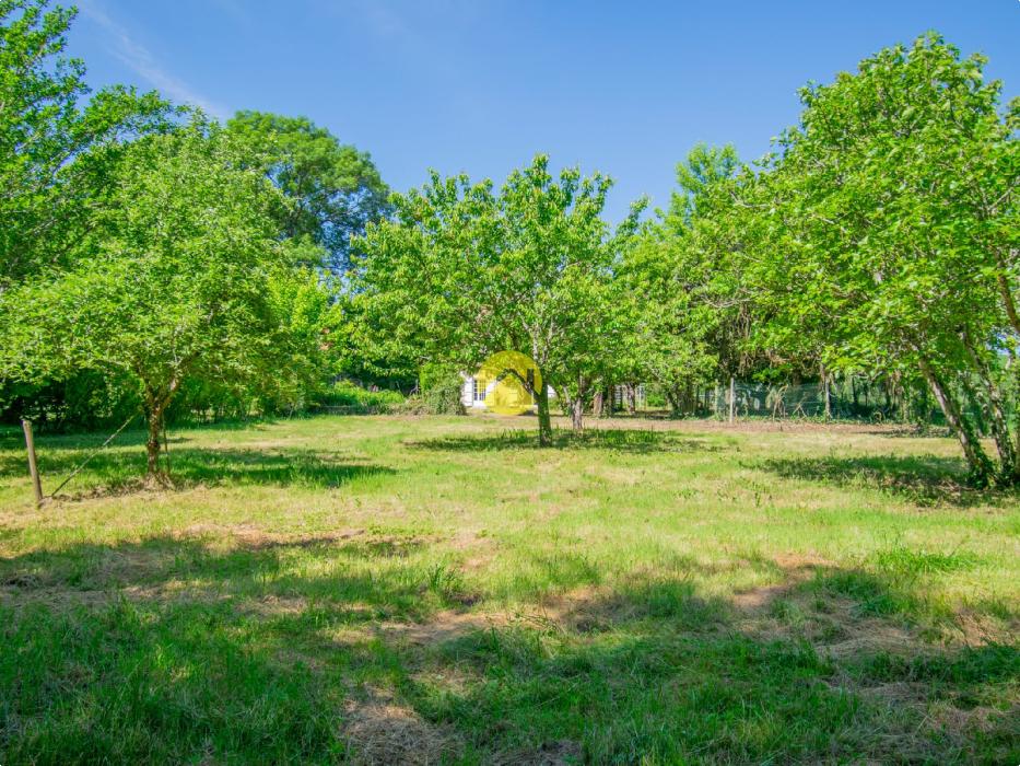 Périgourdinne au bord de la Vézère