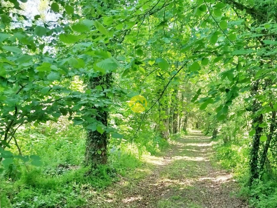 Chalet en pleine nature