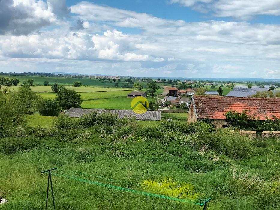 Maison avec grand terrain