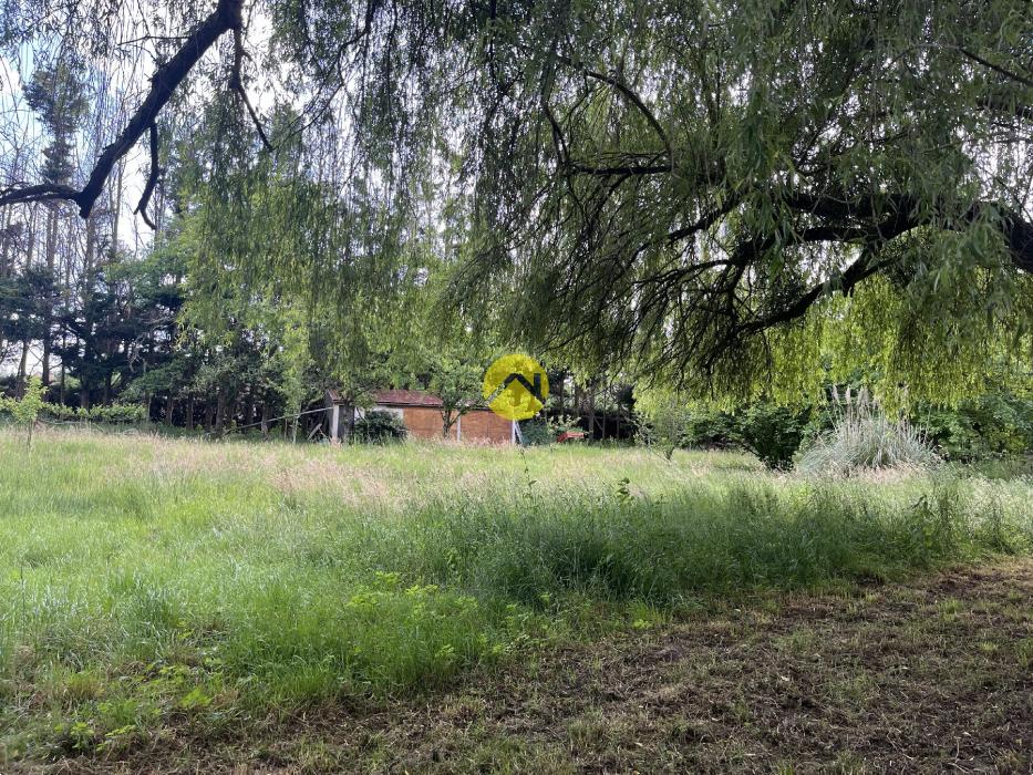 PROPRIETE SUR 2HA - ETANG - MAISON 