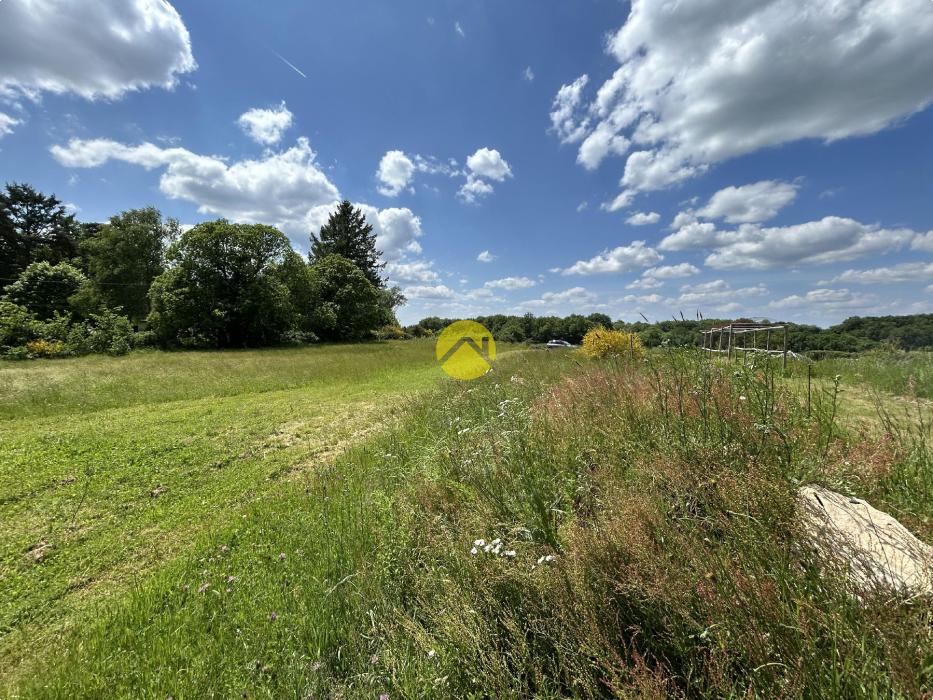 TERRAIN VIABILISE 1 HA BOISE
