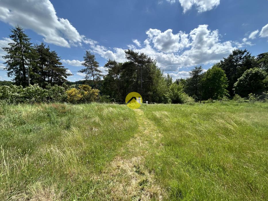 TERRAIN VIABILISE 1 HA BOISE