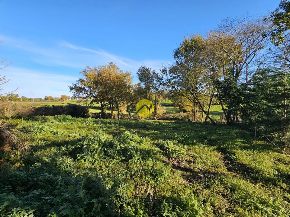 MAISON EN CAMPAGNE