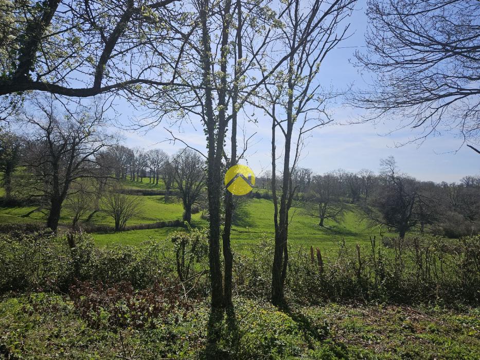 MAISON EN CAMPAGNE