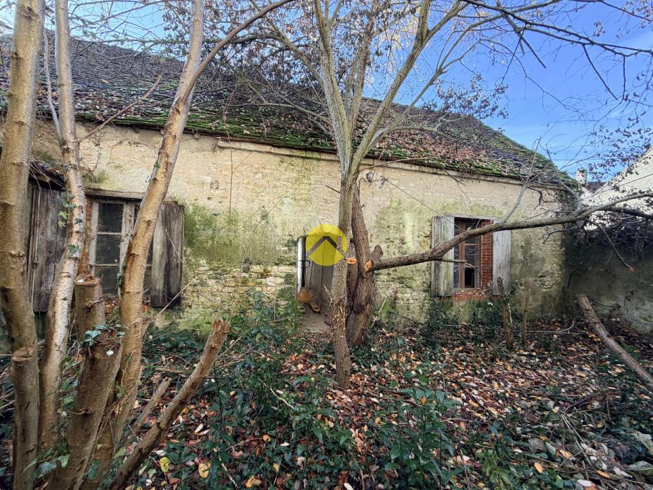 Maison de ville avec jardin