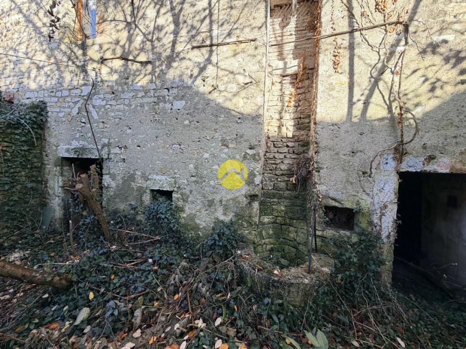 Maison de ville avec jardin