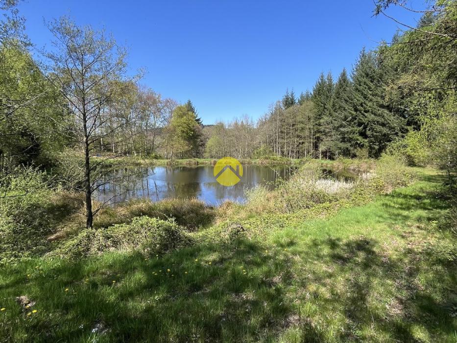 Propriété avec terrain et étang