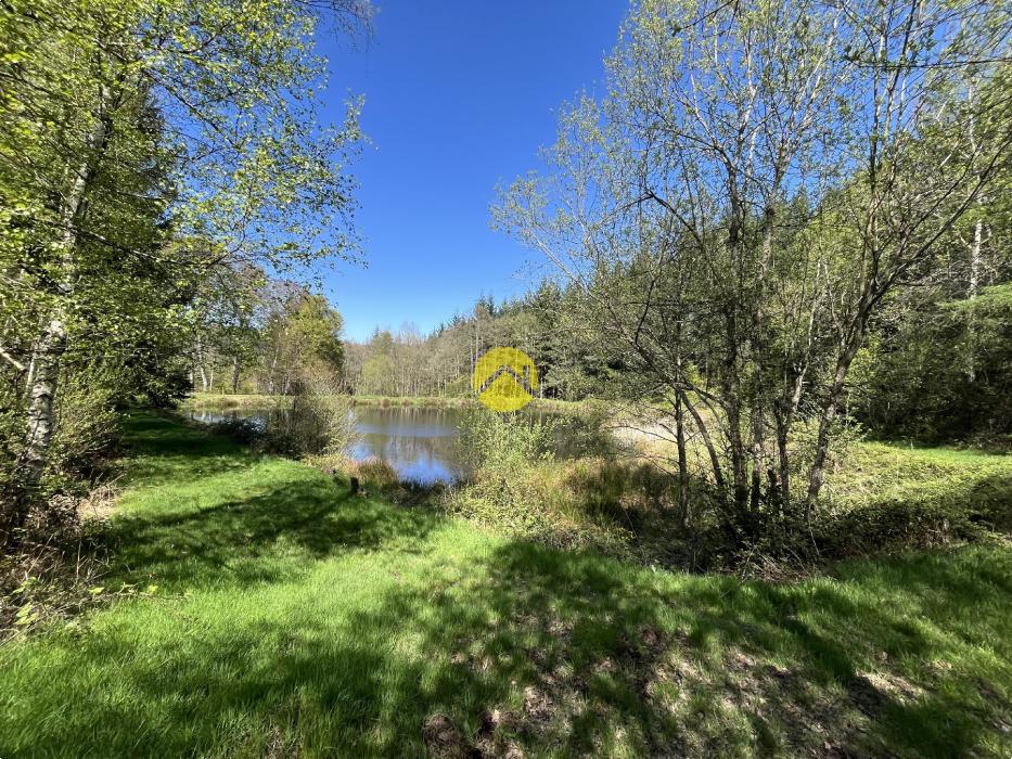 Propriété avec terrain et étang