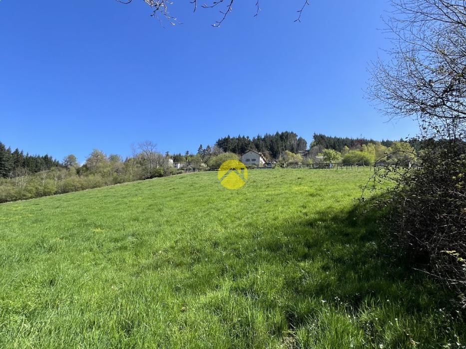 Propriété avec terrain et étang