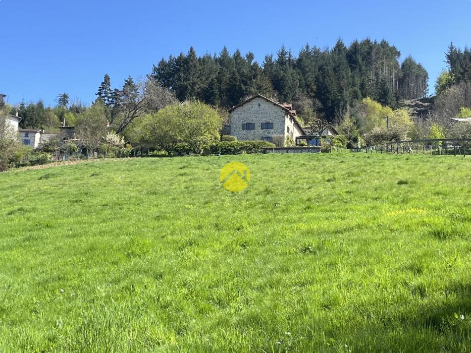 Propriété avec terrain et étang