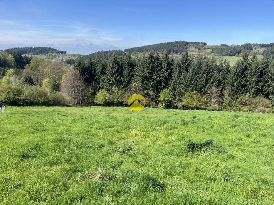 Propriété avec terrain et étang