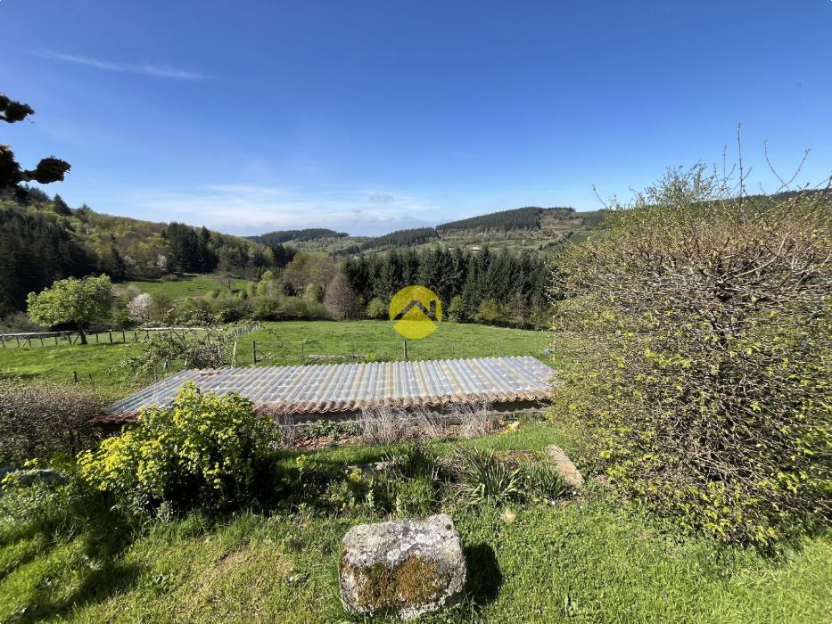 Propriété avec terrain et étang