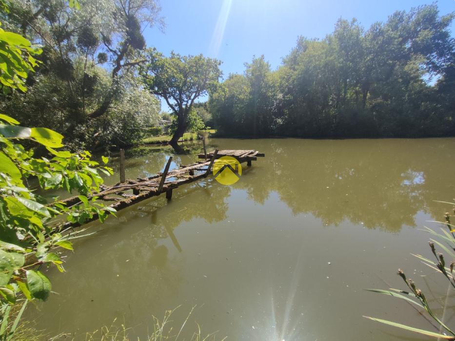 Longère dans son cadre bucolique
