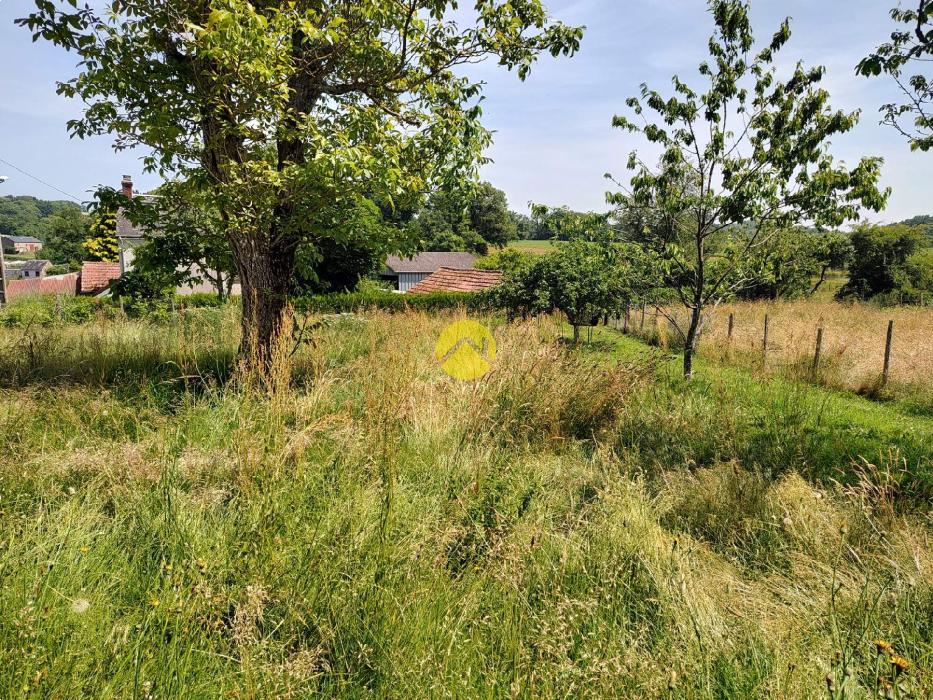 rare ensemble immobiler sur 8836m²