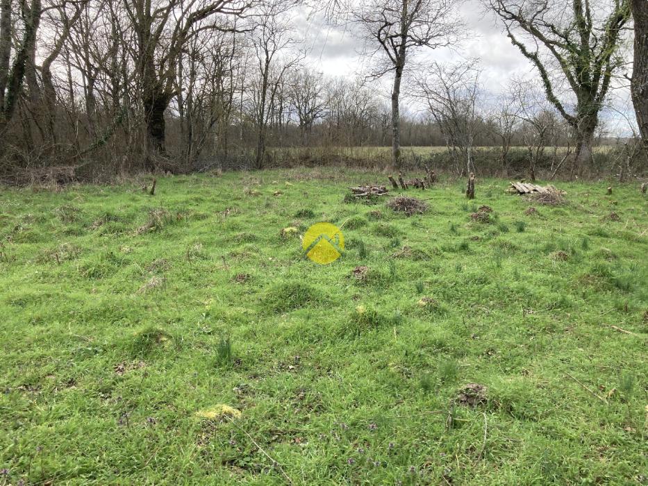 LONGERE DU BOUT DU MONDE