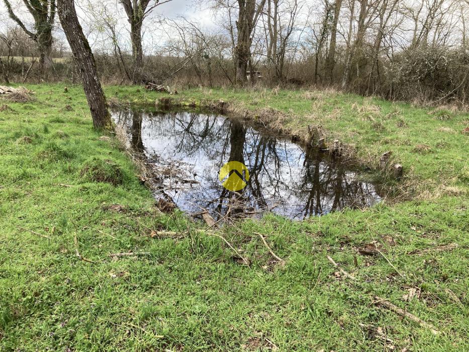 LONGERE DU BOUT DU MONDE