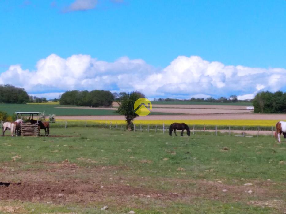 Charmante Propriété équestre