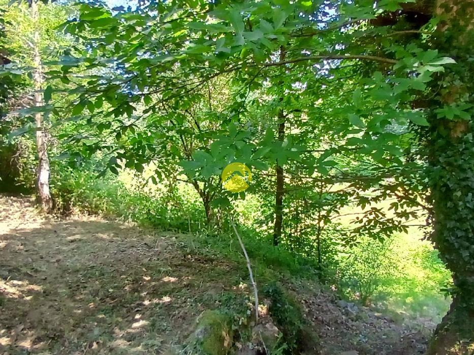 Ancienne fermette à rénover