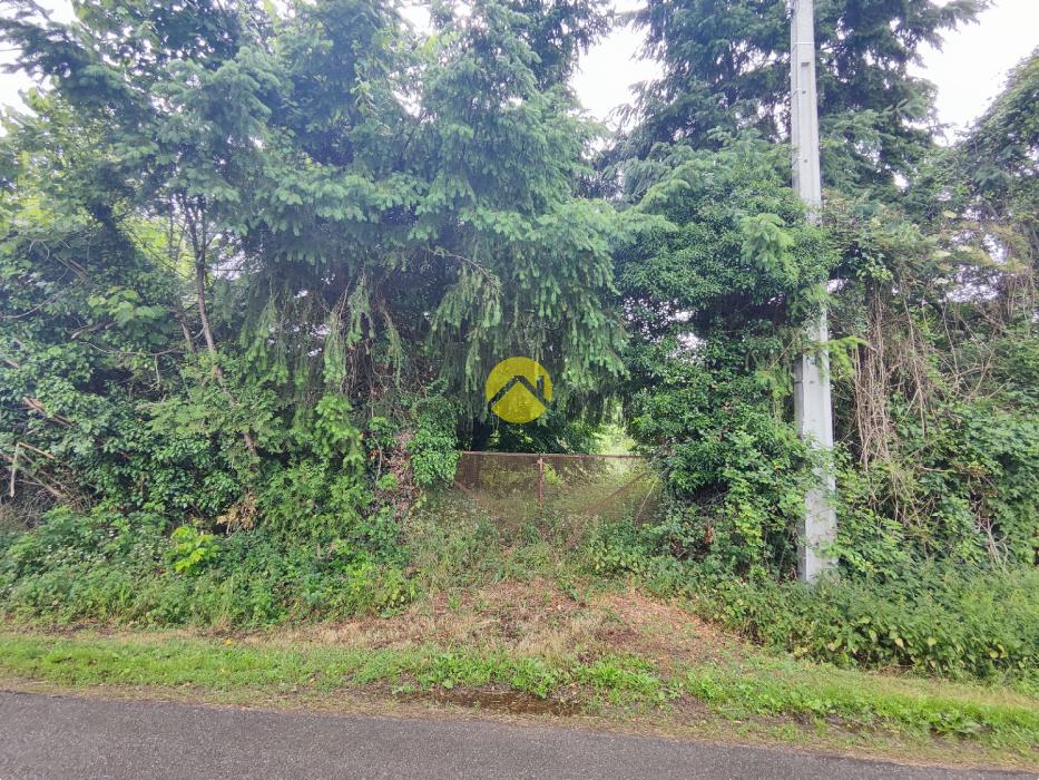 TERRAIN CAMPAGNE BERRICHONNE