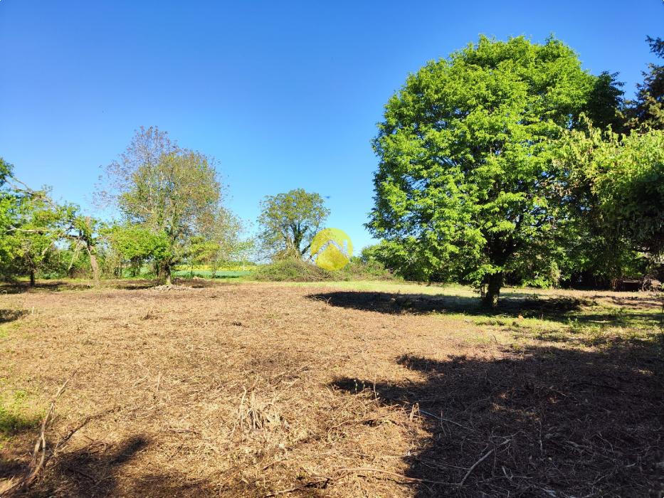 TERRAIN CAMPAGNE BERRICHONNE