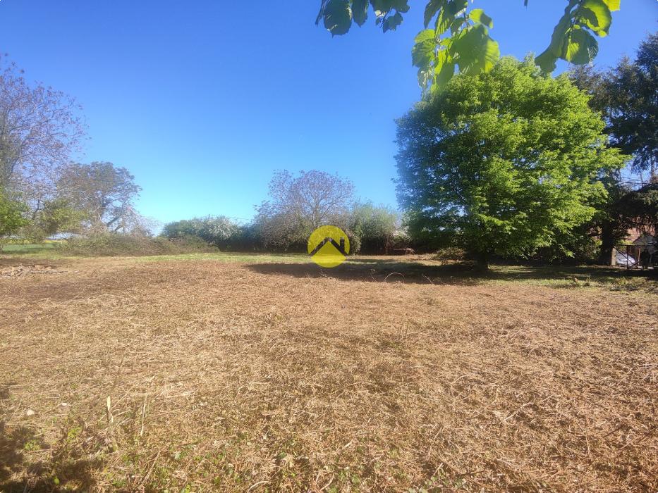 TERRAIN CAMPAGNE BERRICHONNE