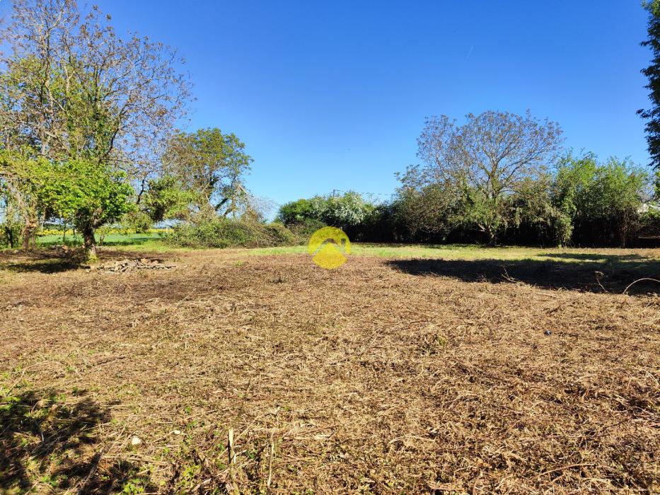 TERRAIN CAMPAGNE BERRICHONNE