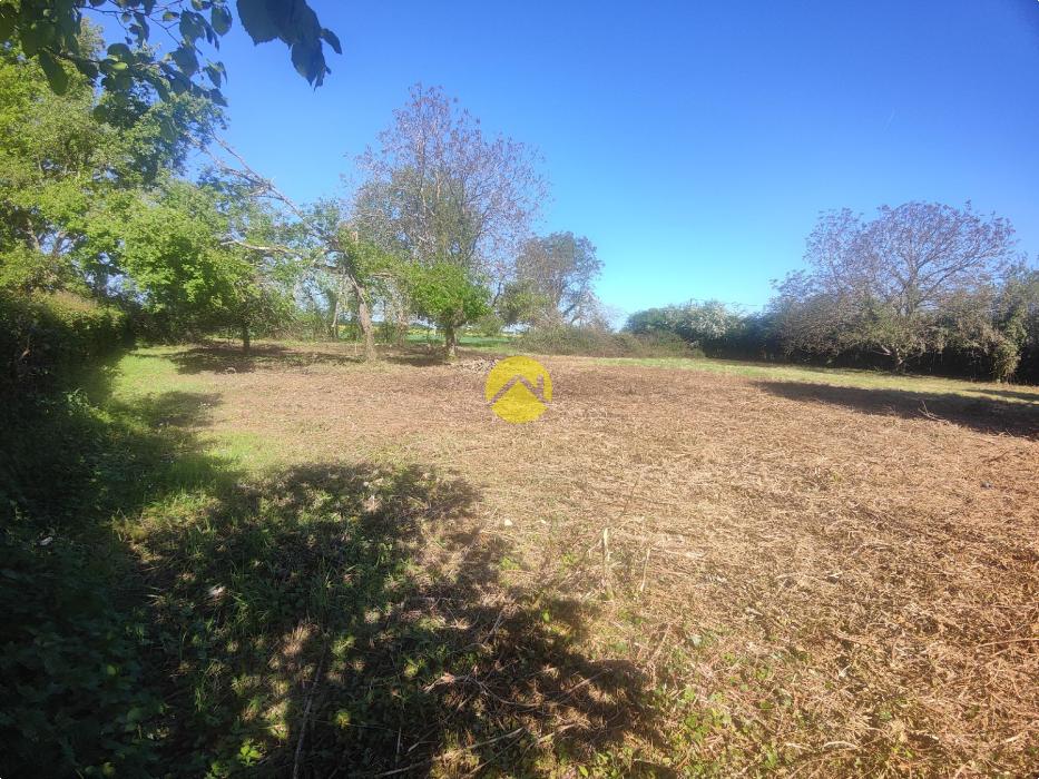 TERRAIN CAMPAGNE BERRICHONNE