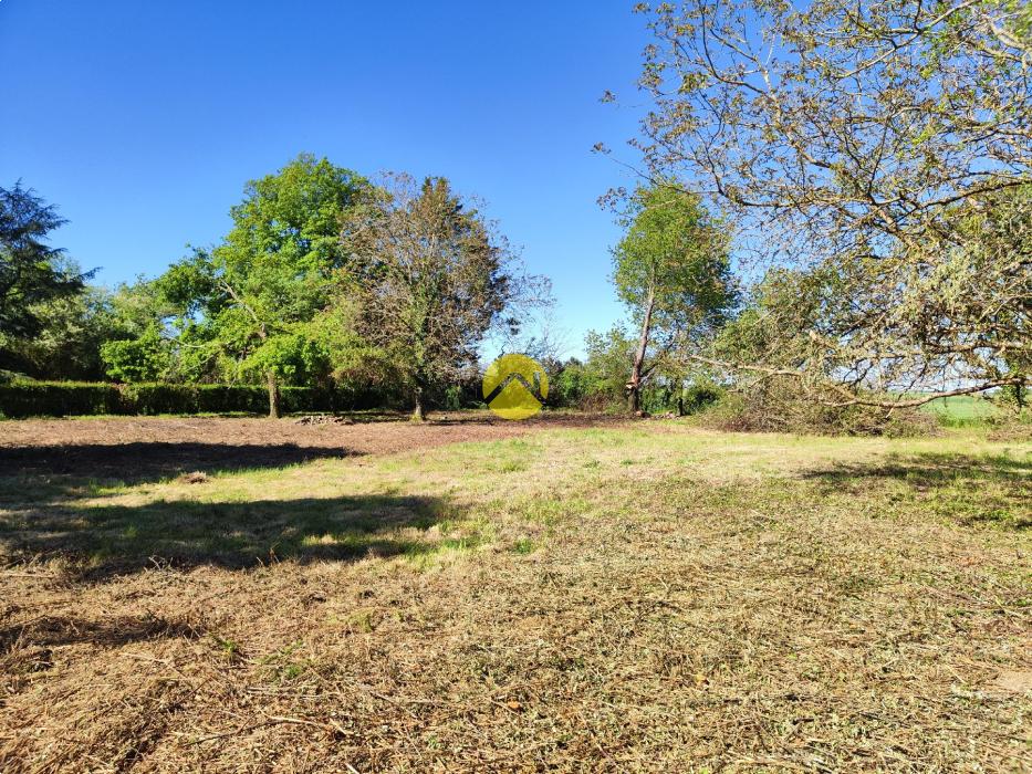 TERRAIN CAMPAGNE BERRICHONNE
