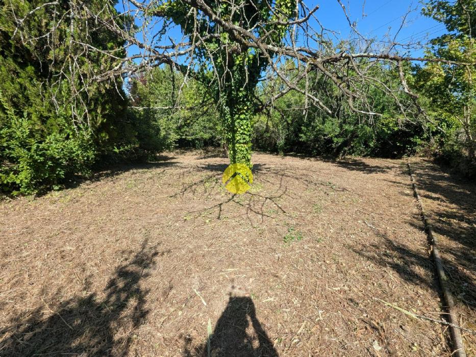 Maison 90m². 3 ch .terrain