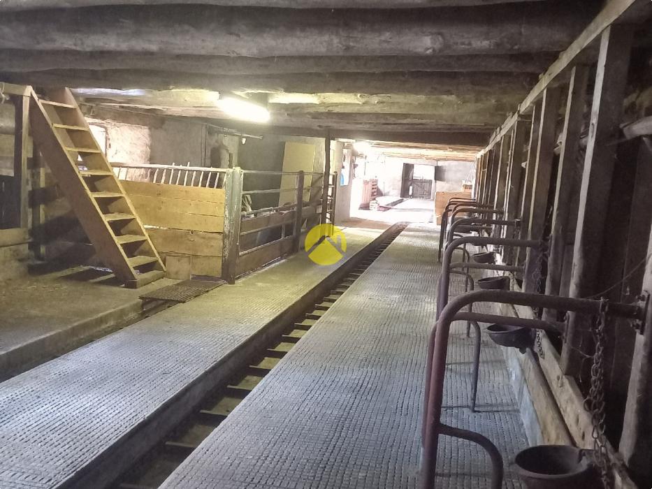 CORPS DE FERME
