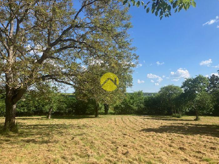 Propriété sur 7 700 m² de jardin