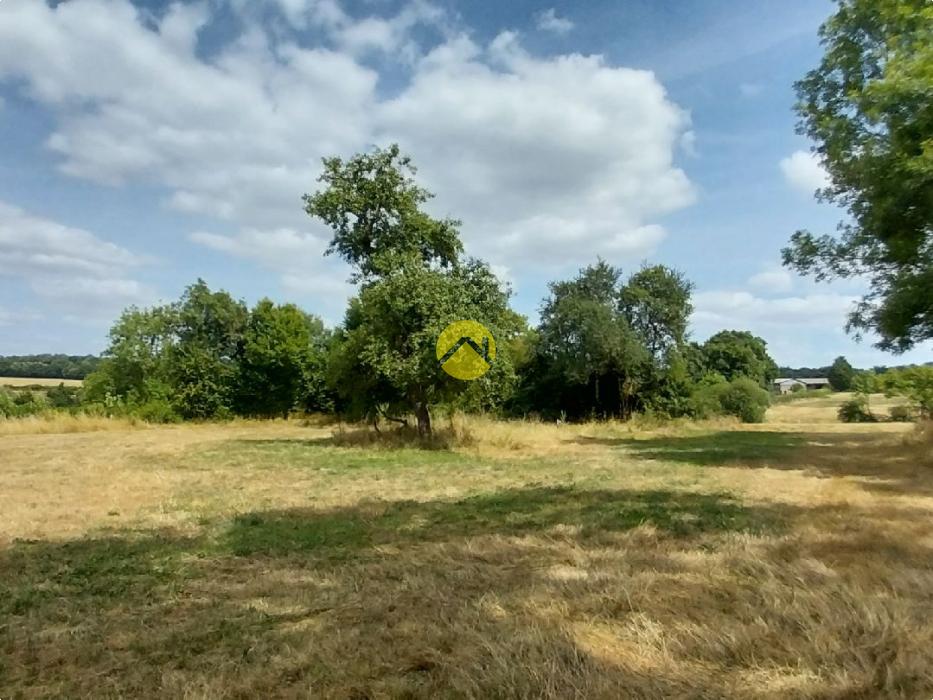 7 HECTARES POUR VOUS !