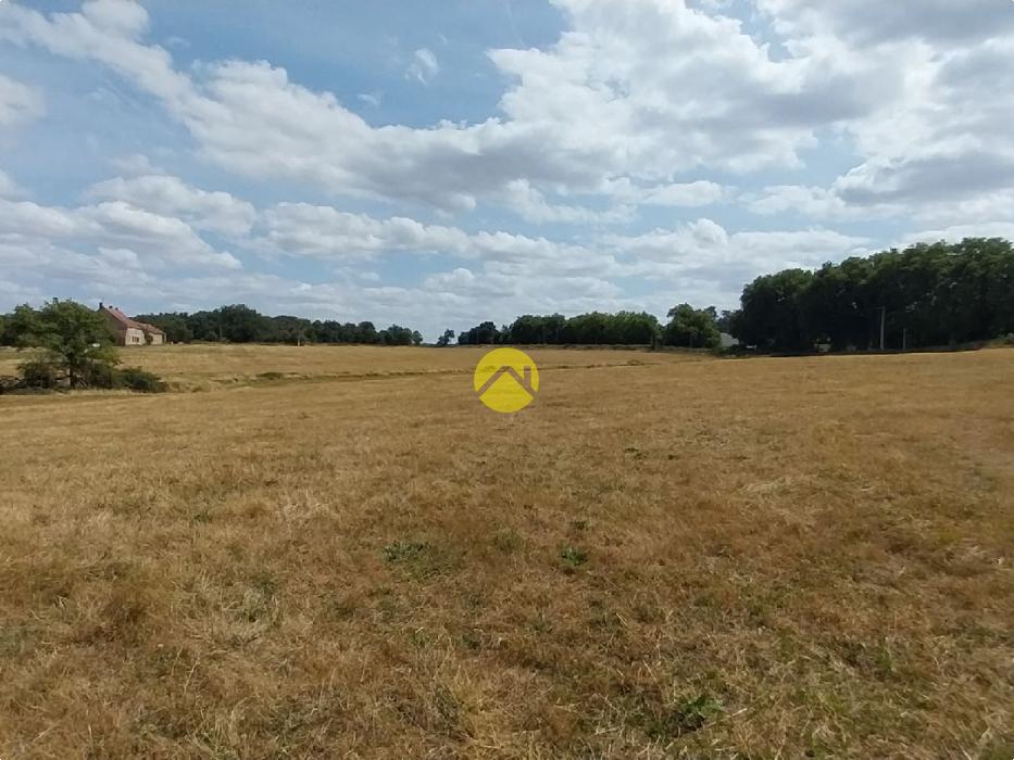 7 HECTARES POUR VOUS !