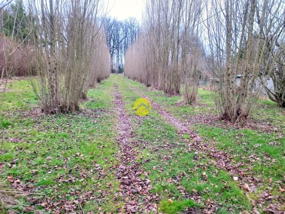 AU BOUT DU CHEMIN