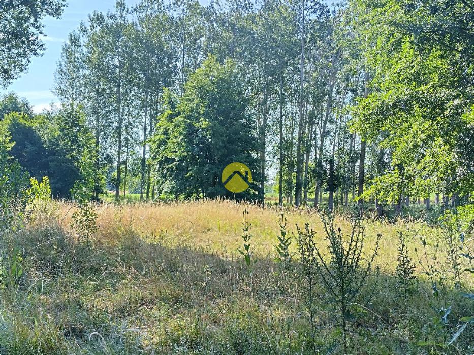 un coin de  paradis