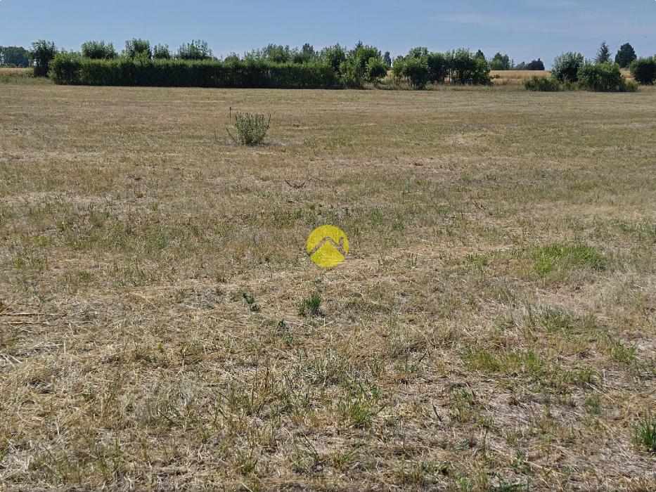 terrain à bâtir