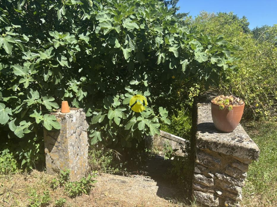  Maison de charme Perigourdine