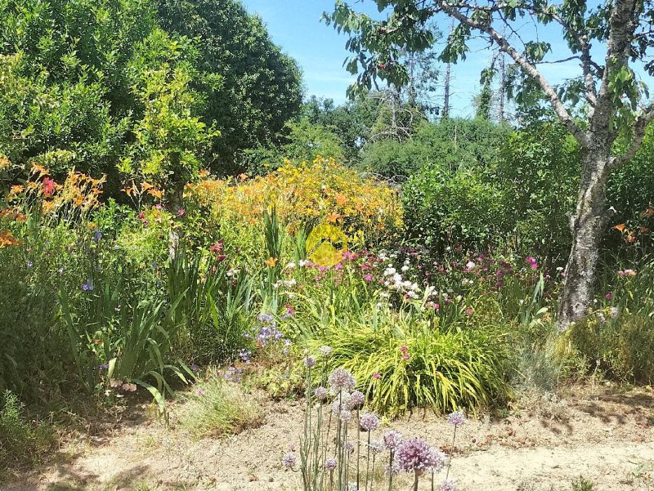 Maison avec jardin