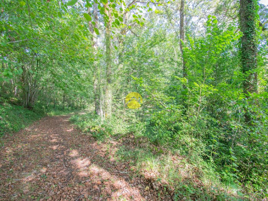 Site touristique à reprendre