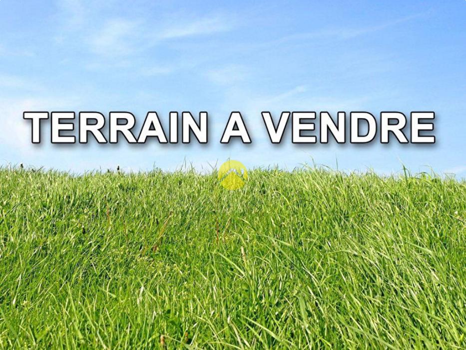 TERRAIN AGRICOLE